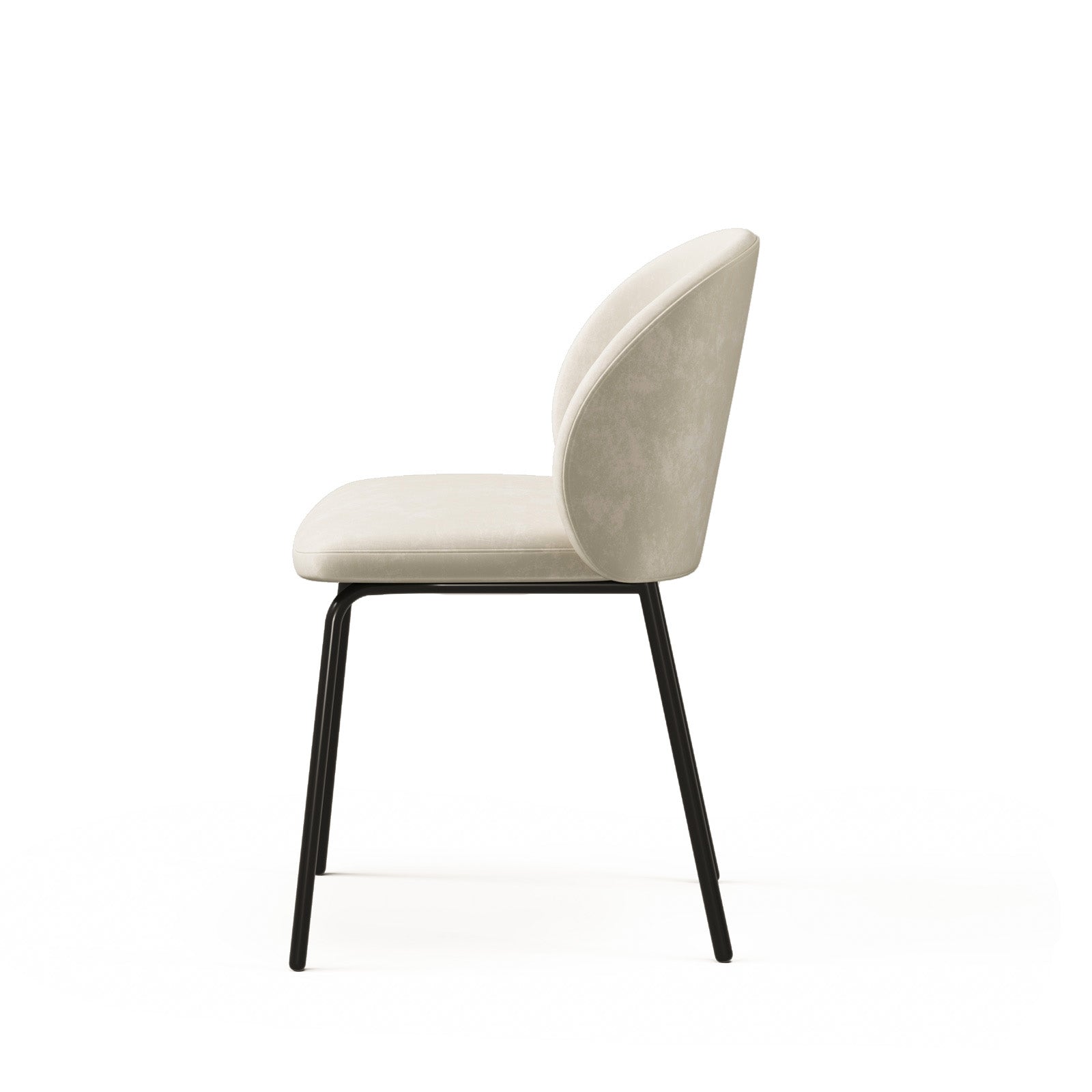 Marline Dining Chair image