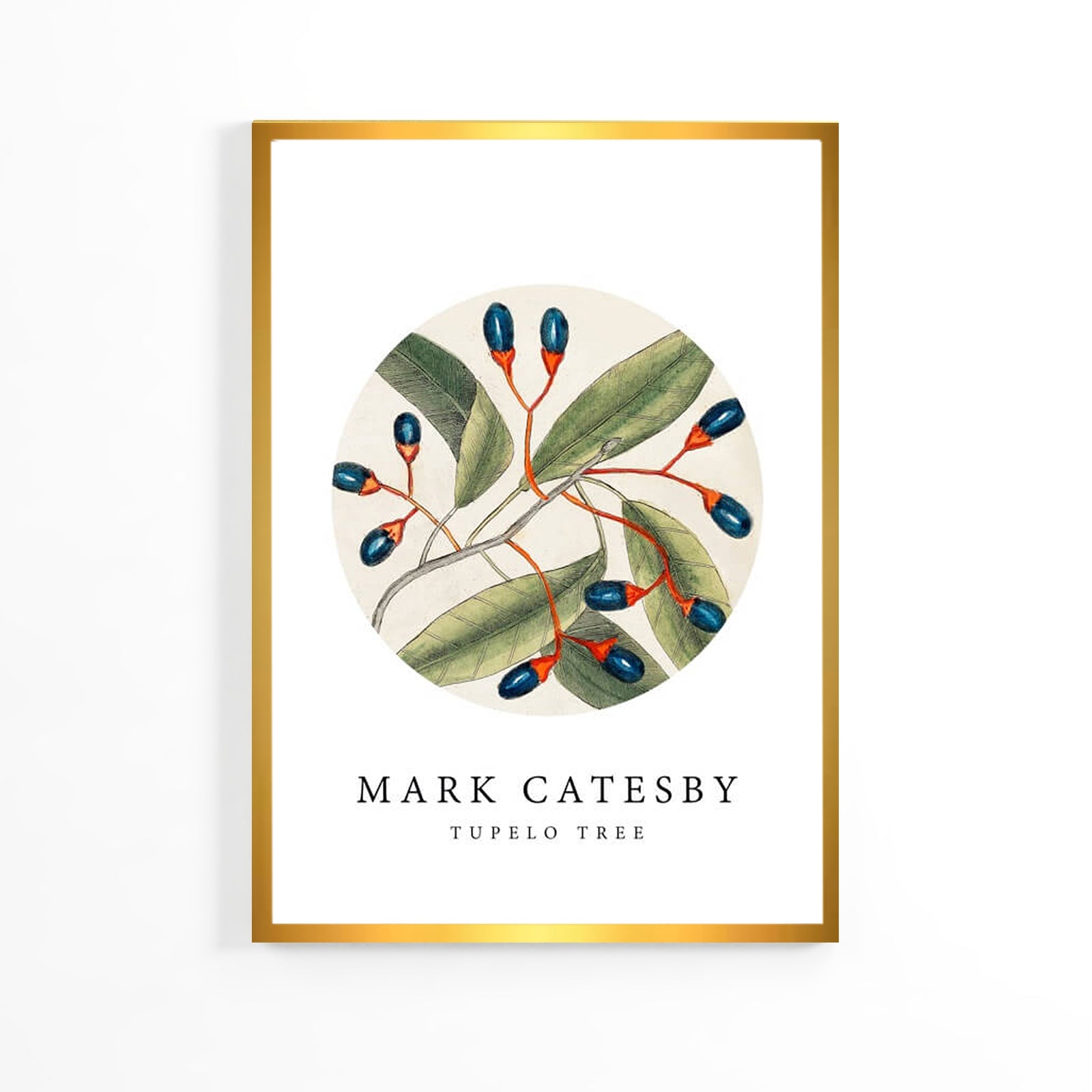 Плакат «Натуральные оливки» image