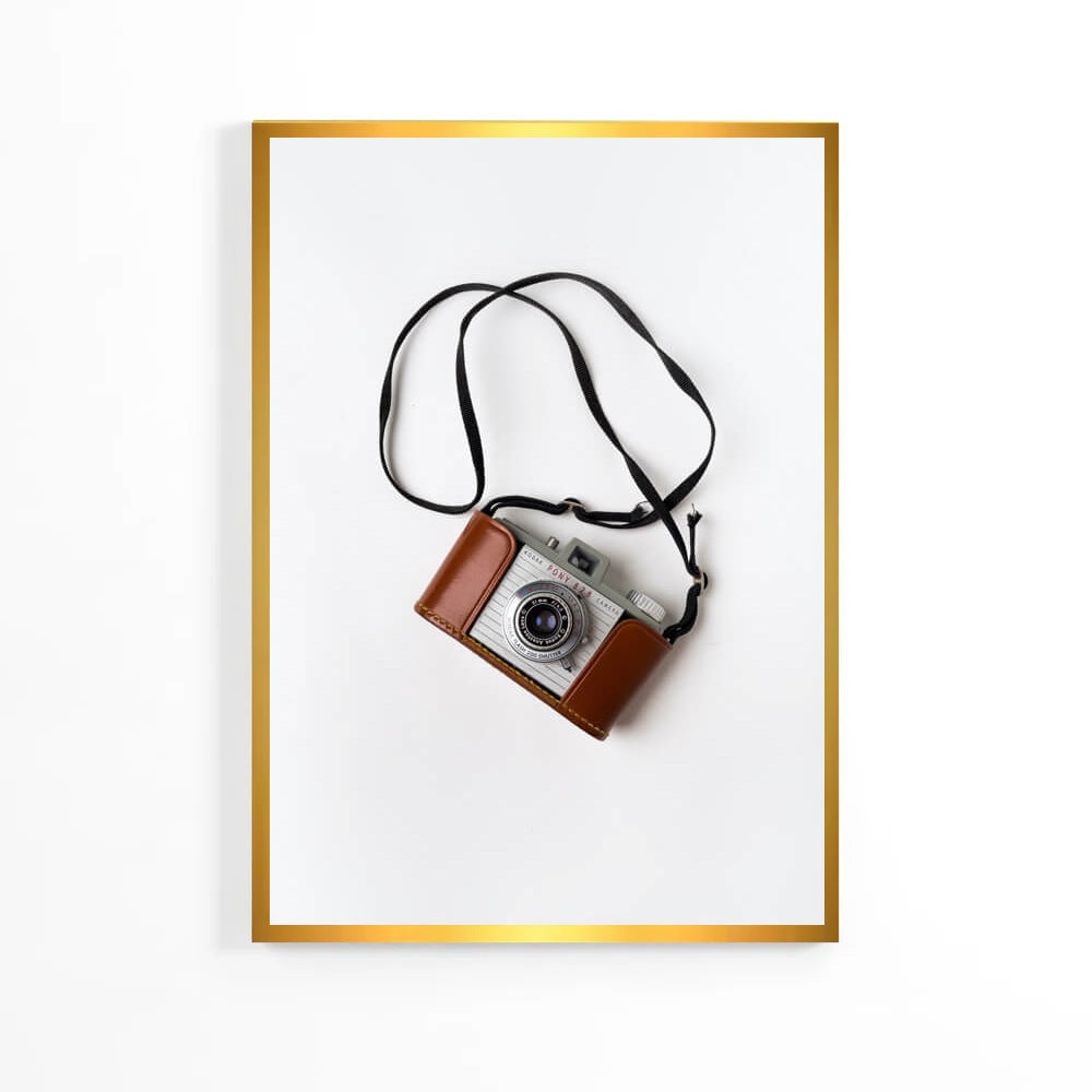 Vintage Camera Poster image