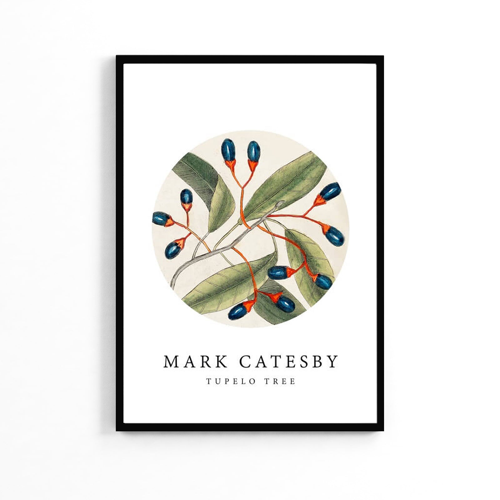 Плакат «Натуральные оливки» image