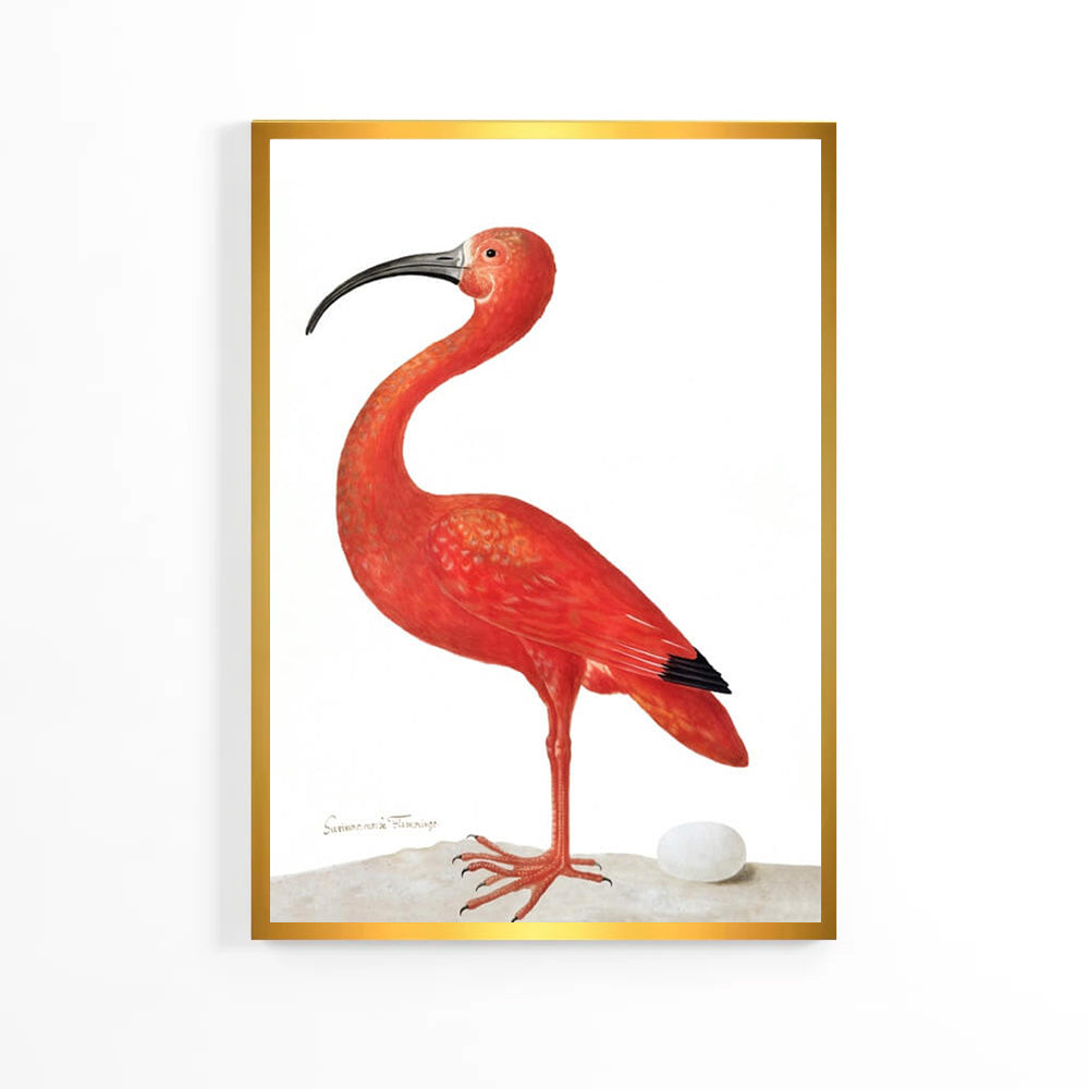 Natural Flamingo Poster image