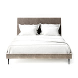 Taupe Terylene