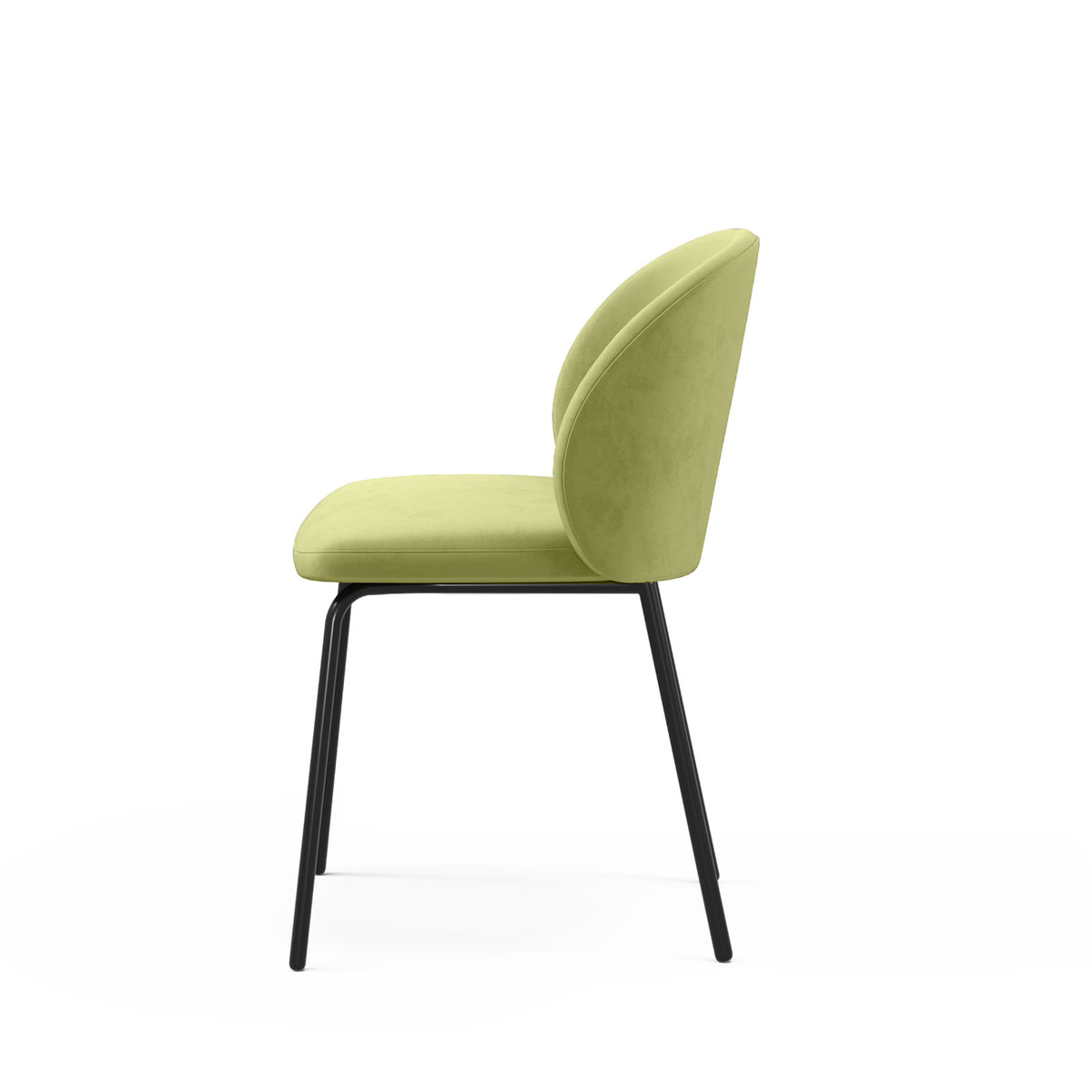 Marline Dining Chair image