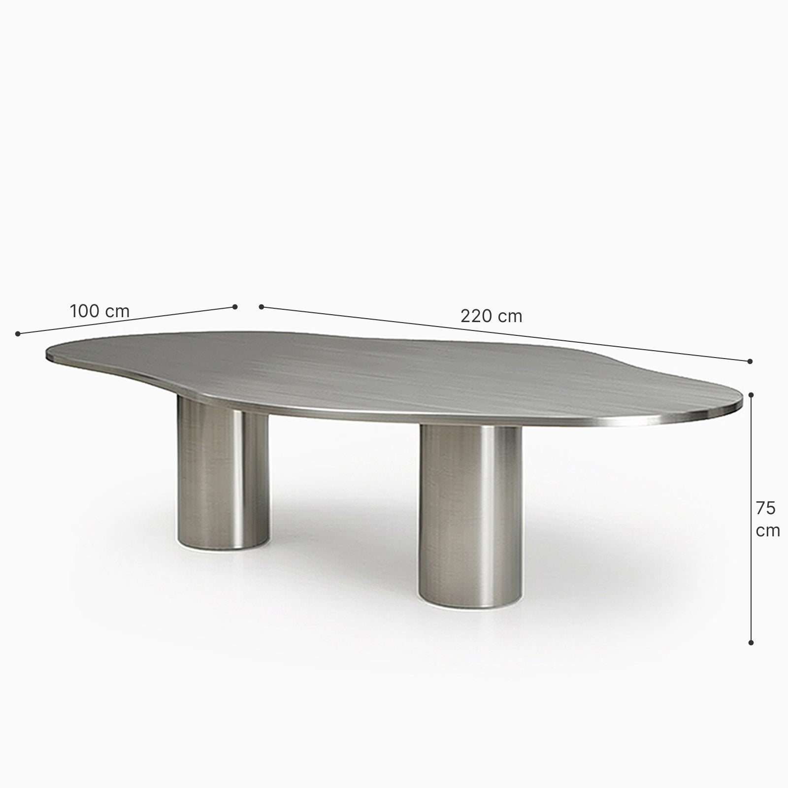 Rian Steel Dining Table image