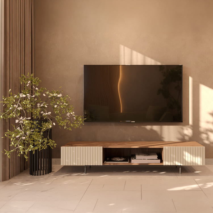 Forest Zen Studio Package