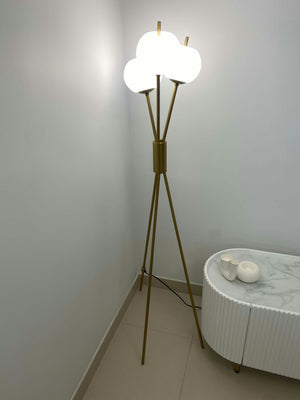 Review photo 1
