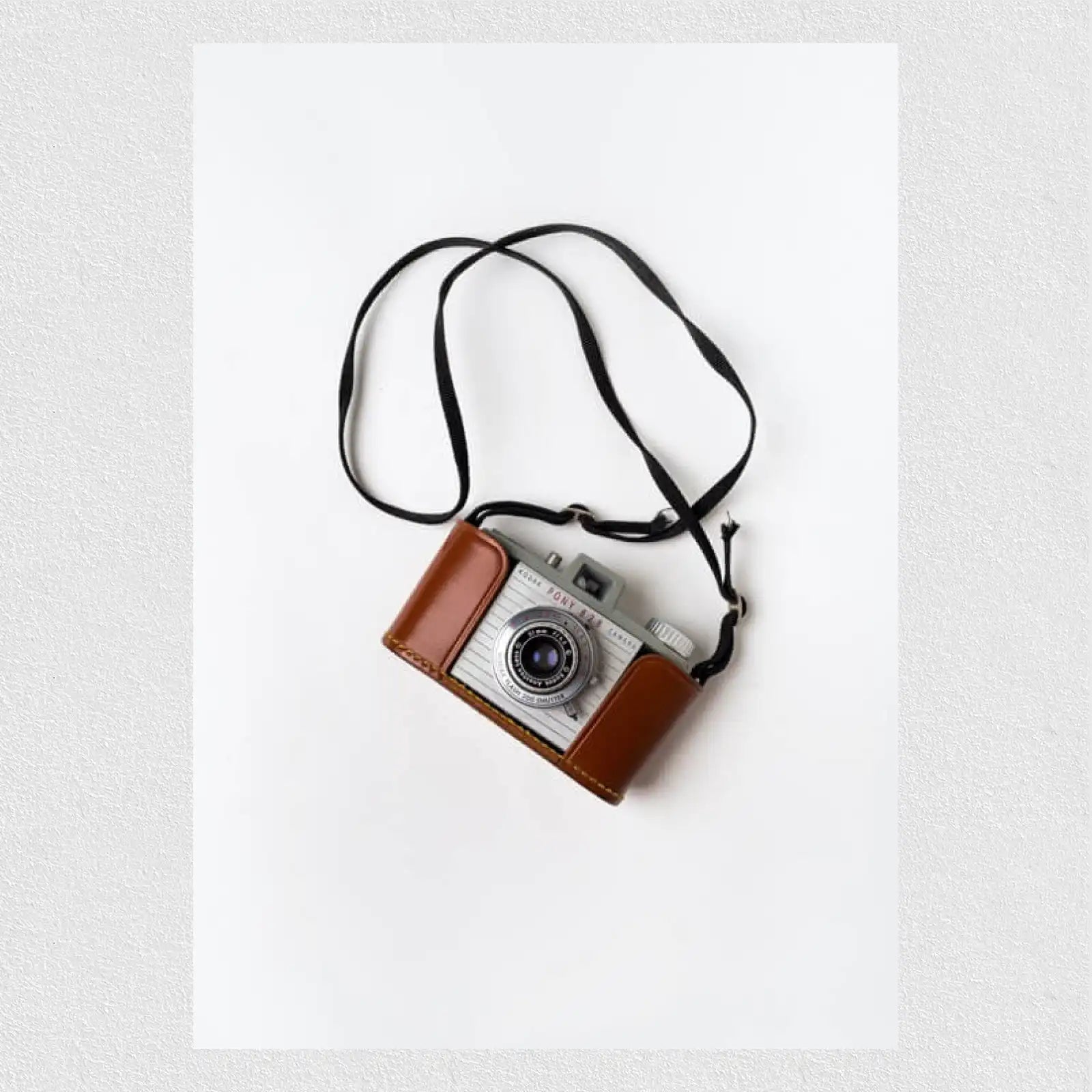 Vintage Camera Wall Art 1