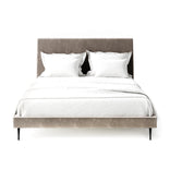 Taupe Terylene