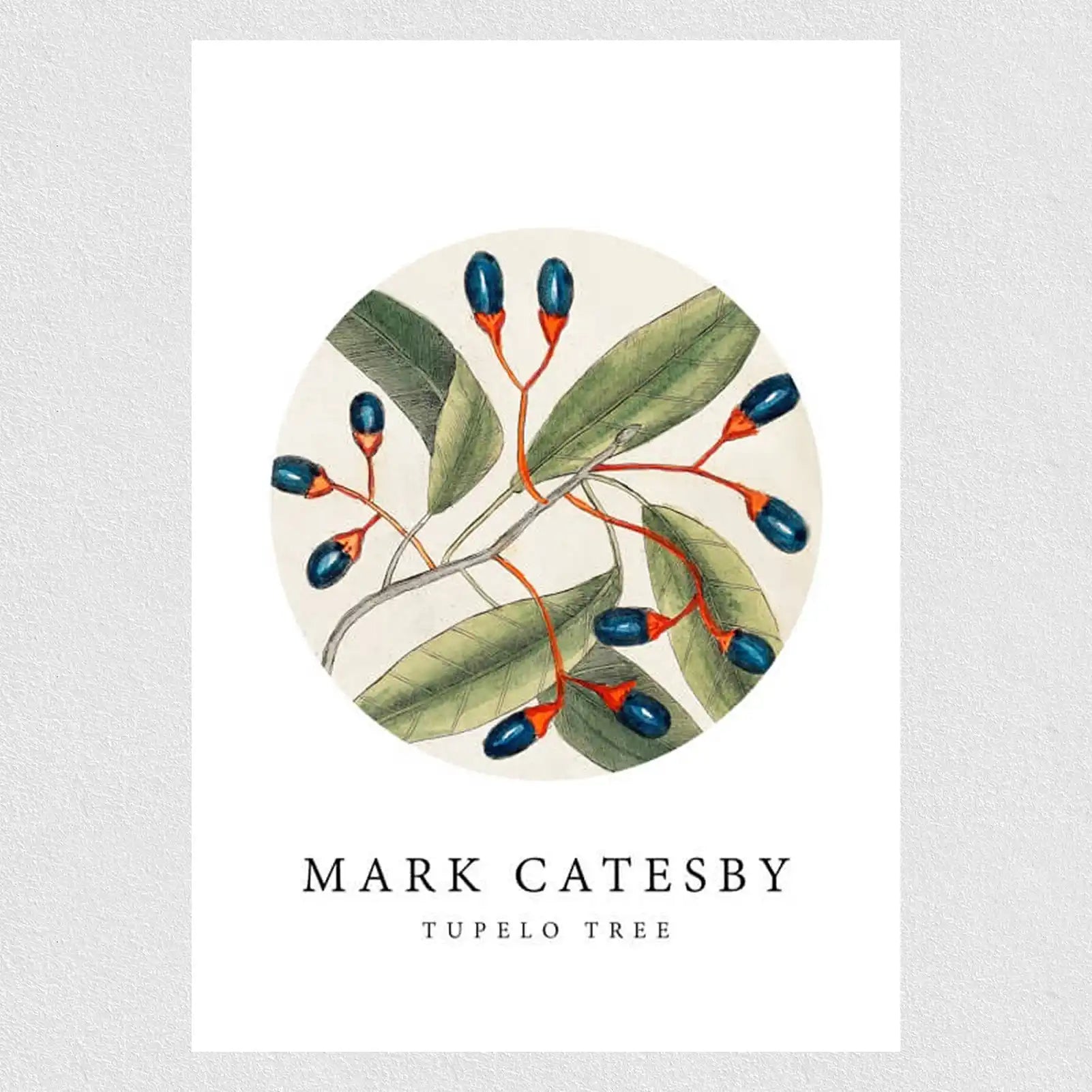 Natural Olives Poster