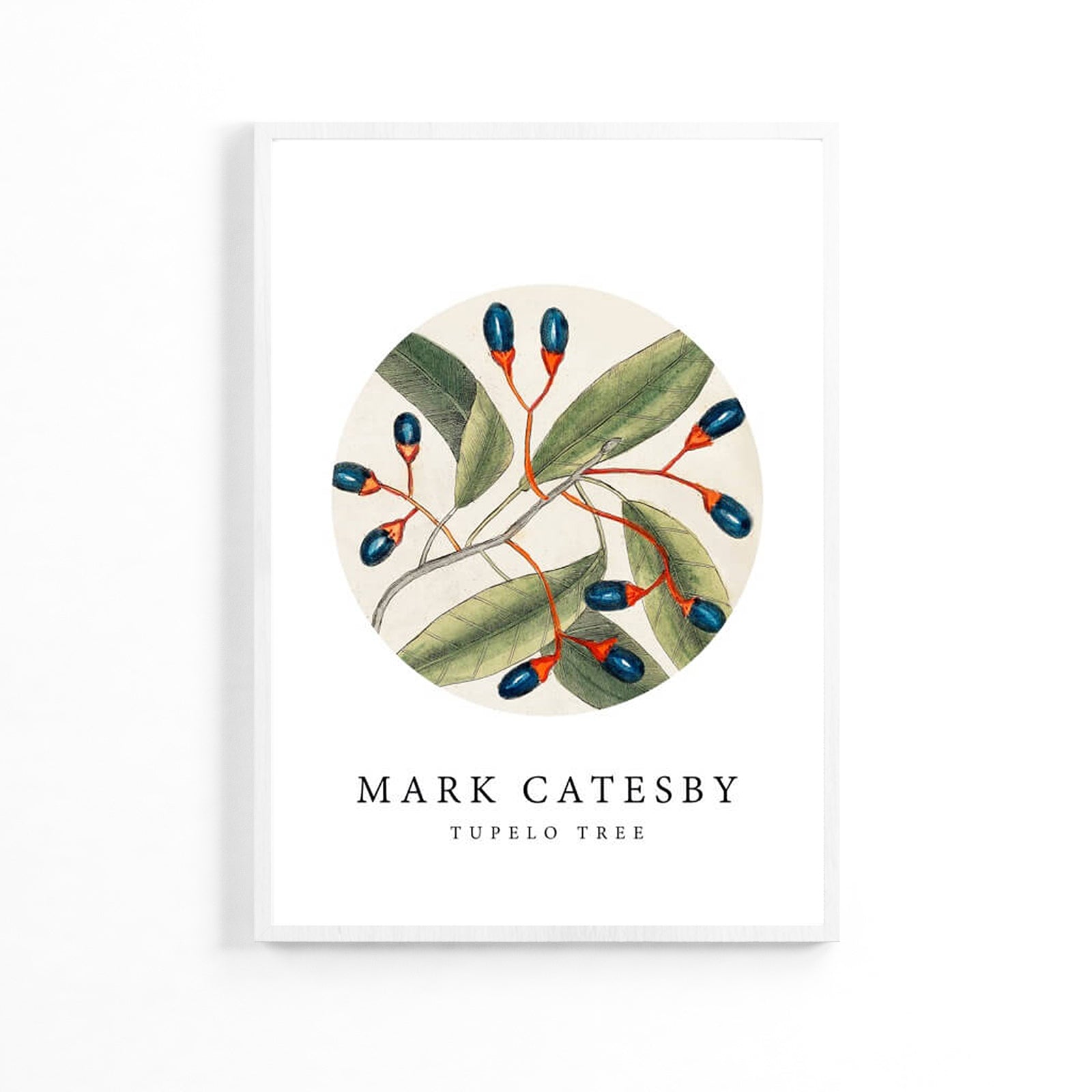 Плакат «Натуральные оливки» image