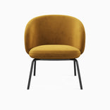 Ocher Velvet