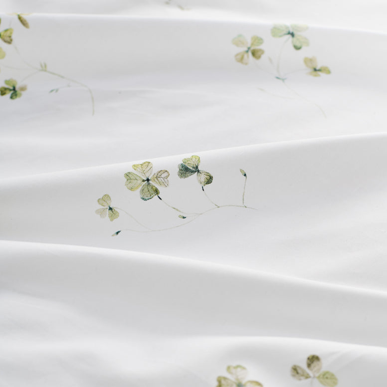 Clove Comforter Set image