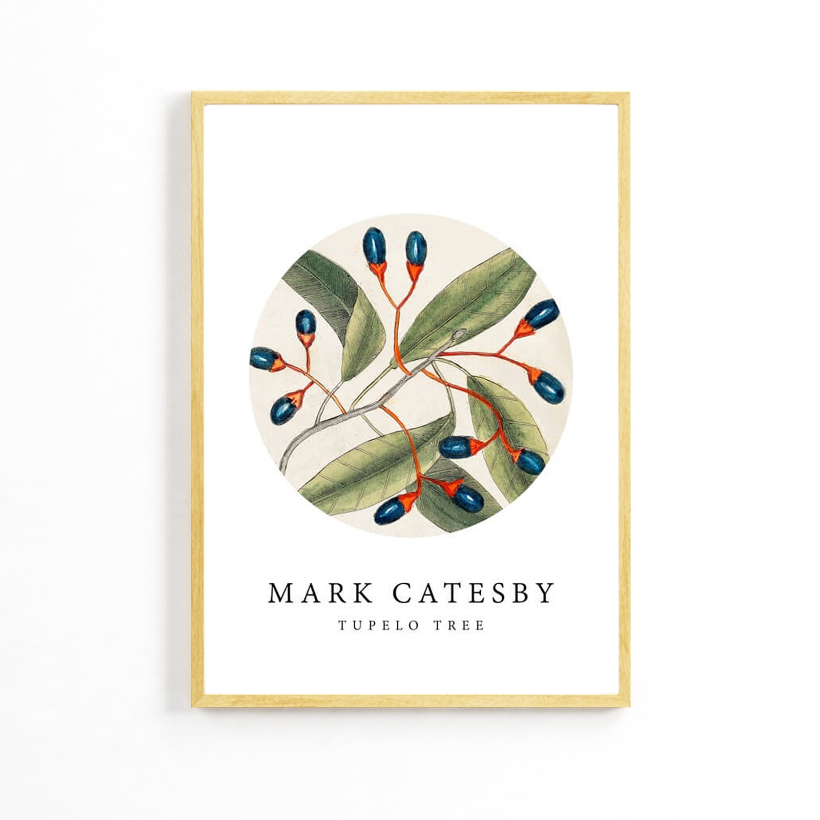 Плакат «Натуральные оливки» image