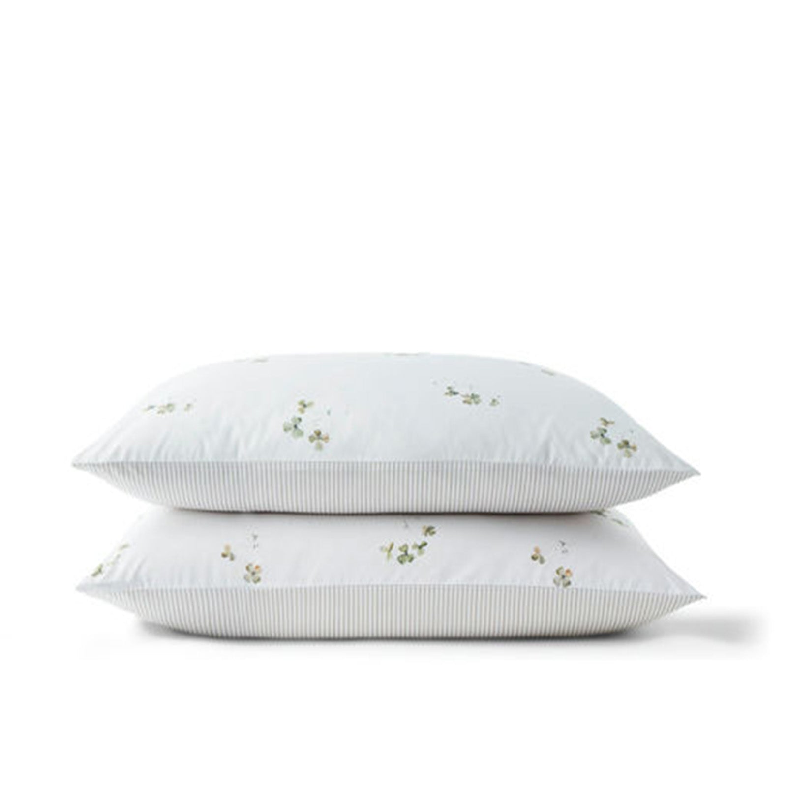 Clove Pillowcase Set of 2