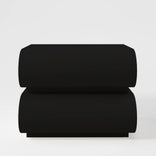 Painted Black