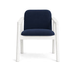 Navy Blue Velvet