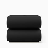 Painted Black